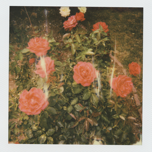 君赢天下密码TV最新版本更新内容
