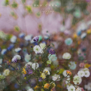 君赢天下密码TV最新版本更新内容
