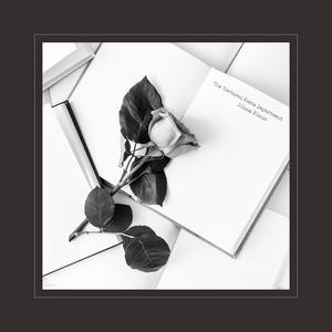 君赢天下密码TV最新版本更新内容
